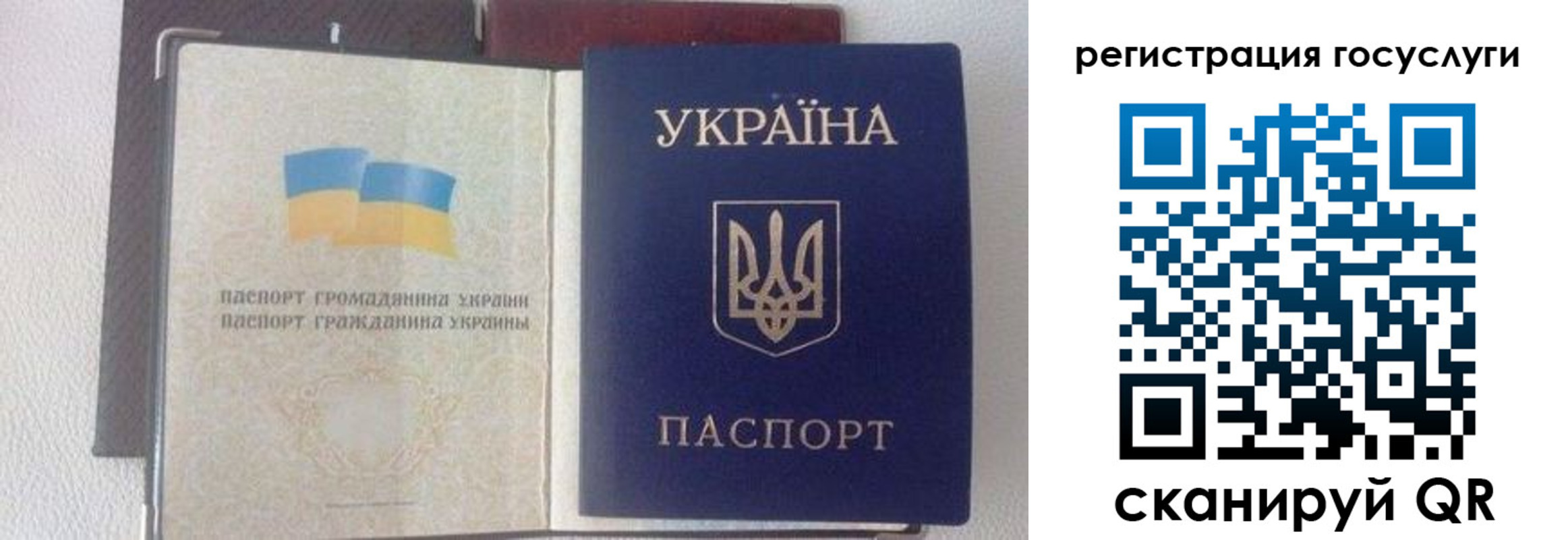 прописка для работы в Коле